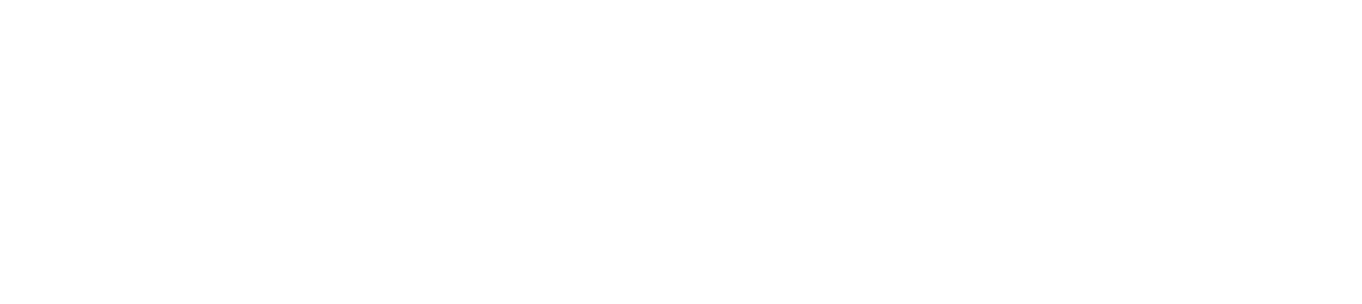 Alamo Area Council