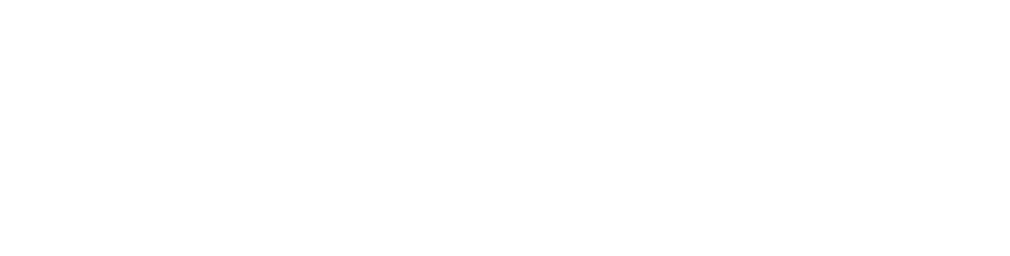 Dan Beard Council